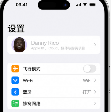 阳高appleID维修服务iPhone设置中Apple ID显示为灰色无法使用 