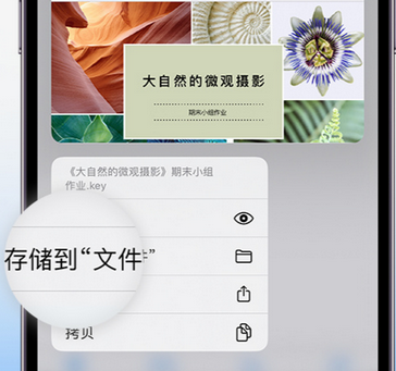 阳高apple维修中心分享iPhone文件应用中存储和找到下载文件