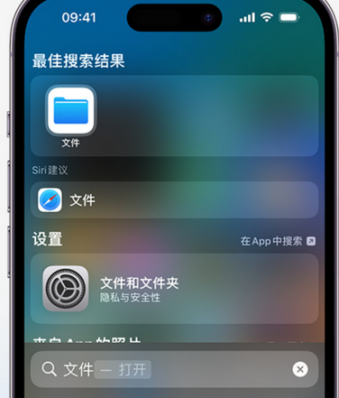 阳高apple维修中心分享iPhone文件应用中存储和找到下载文件 