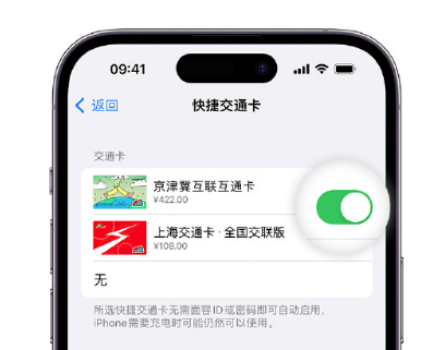 阳高apple维修点分享iPhone上更换Apple Pay快捷交通卡手绘卡面 