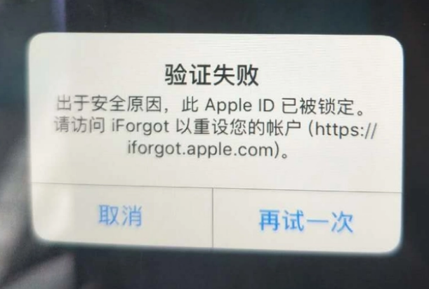 阳高iPhone维修分享iPhone上正常登录或使用AppleID怎么办 