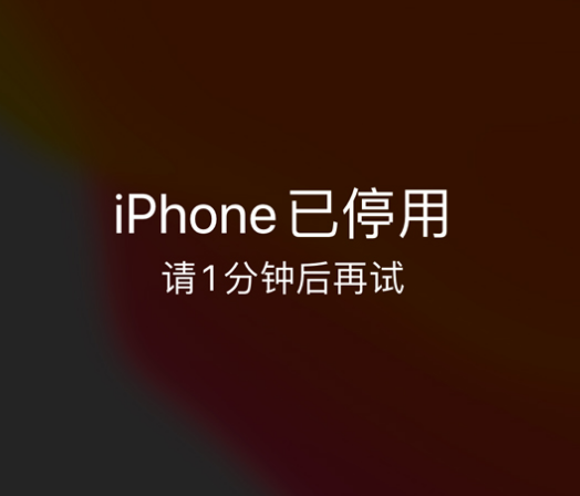 阳高苹果手机维修分享:iPhone 显示“不可用”或“已停用”怎么办？还能保留数据吗？ 