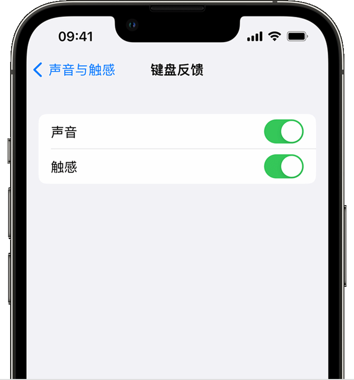 阳高苹果14维修店分享如何在 iPhone 14 机型中使用触感键盘 