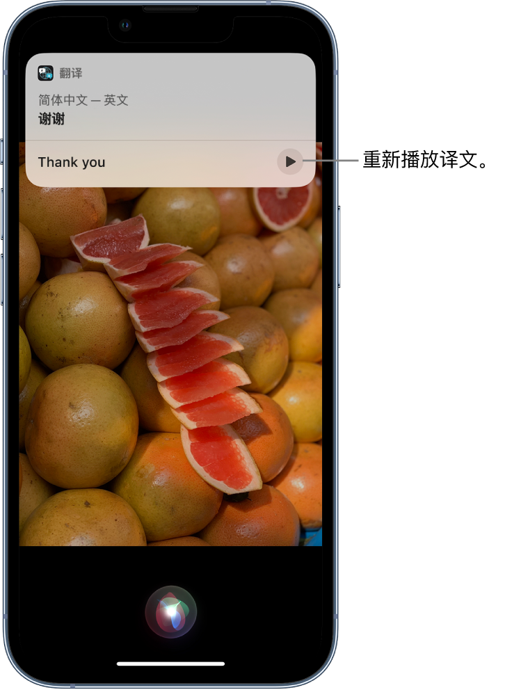 阳高苹果14维修分享 iPhone 14 机型中使用 Siri：了解 Siri 能帮你做什么 