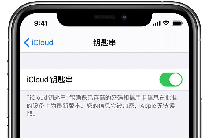 阳高苹果手机维修分享在 iPhone 上开启 iCloud 钥匙串之后会储存哪些信息 