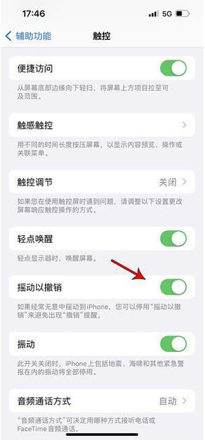 阳高苹果手机维修分享iPhone手机如何设置摇一摇删除文字 